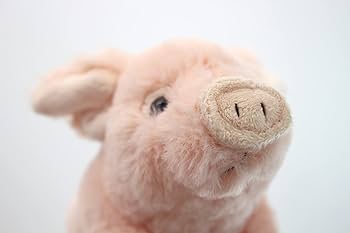 Amazon.co.jp: テイクオフ ぶたのビープ ピンク : おもちゃ